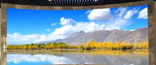 “海外客戶最關心的LED屏參數:不是分辨率，而是這個..